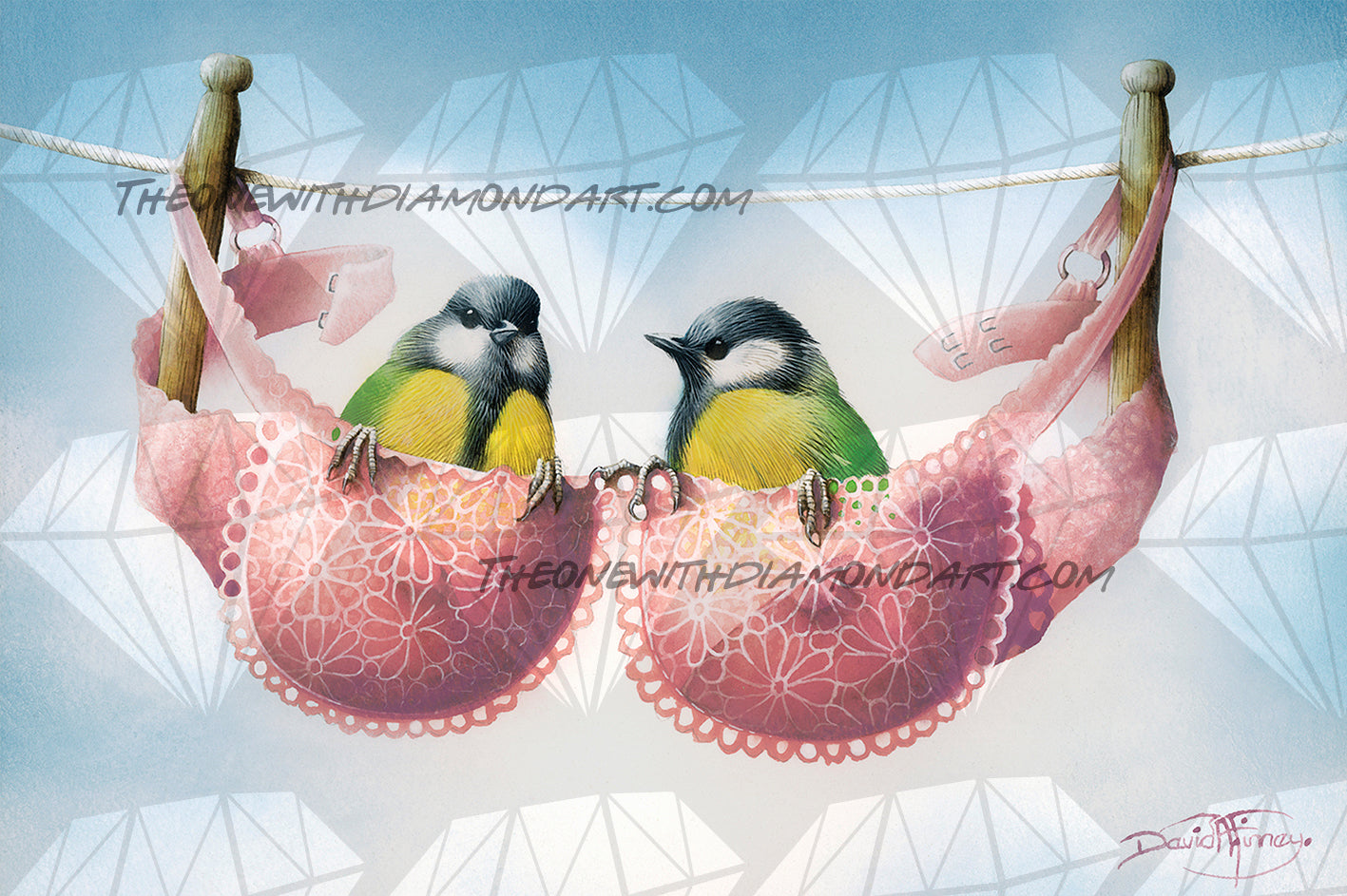 A Pair Of Great Tits ©David Finney – The One With The Diamond Art