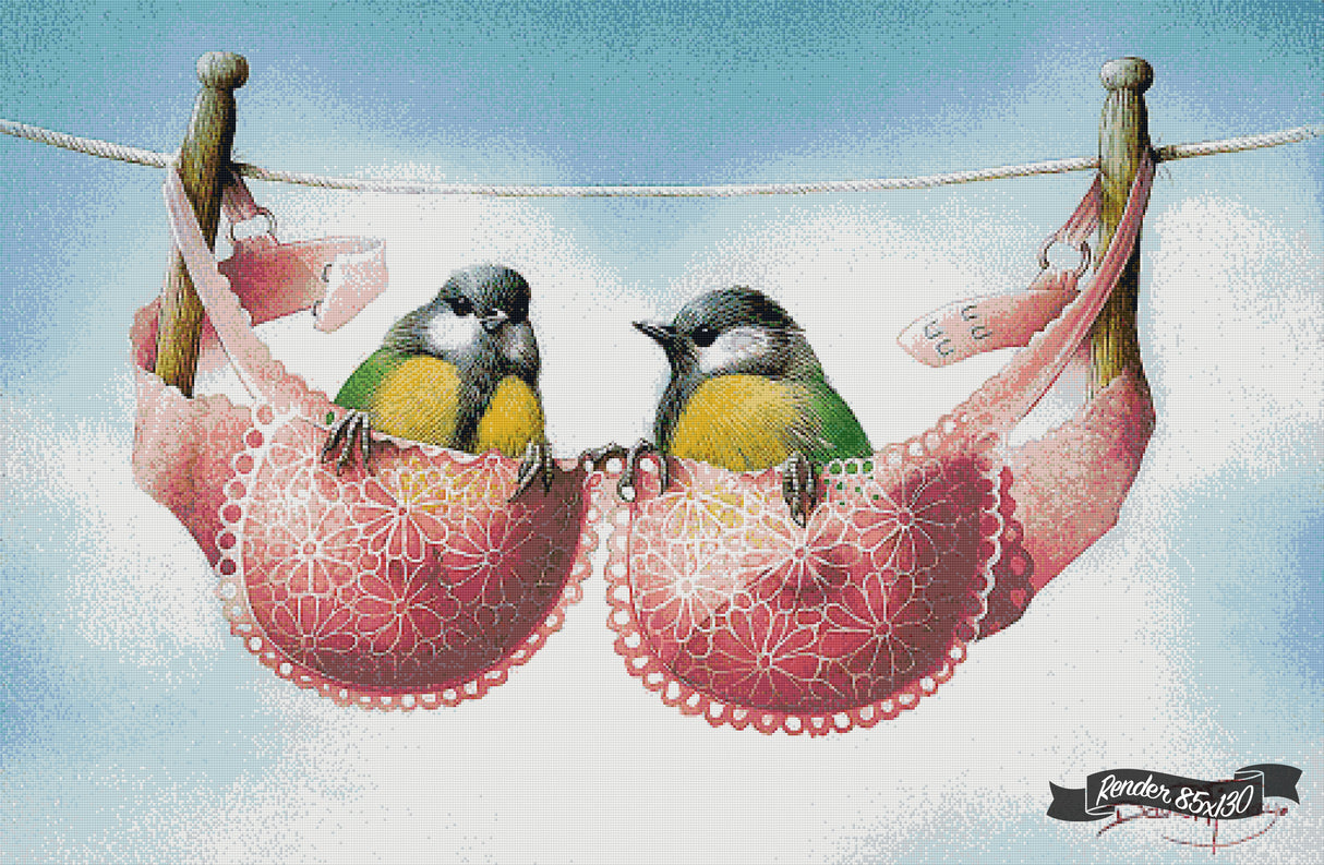 A Pair Of Great Tits ©David Finney