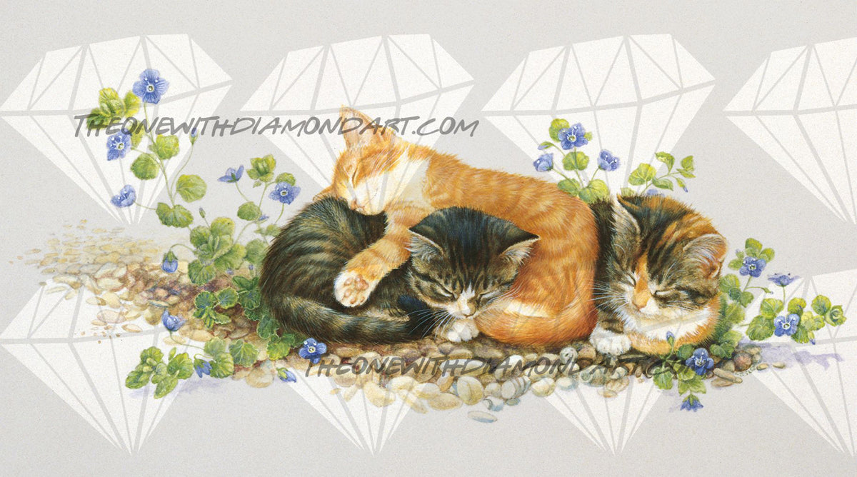 *Paint By Numbers* Manuel, D2 and Avril Asleep On A Pebbled Path ©Ivory Cats