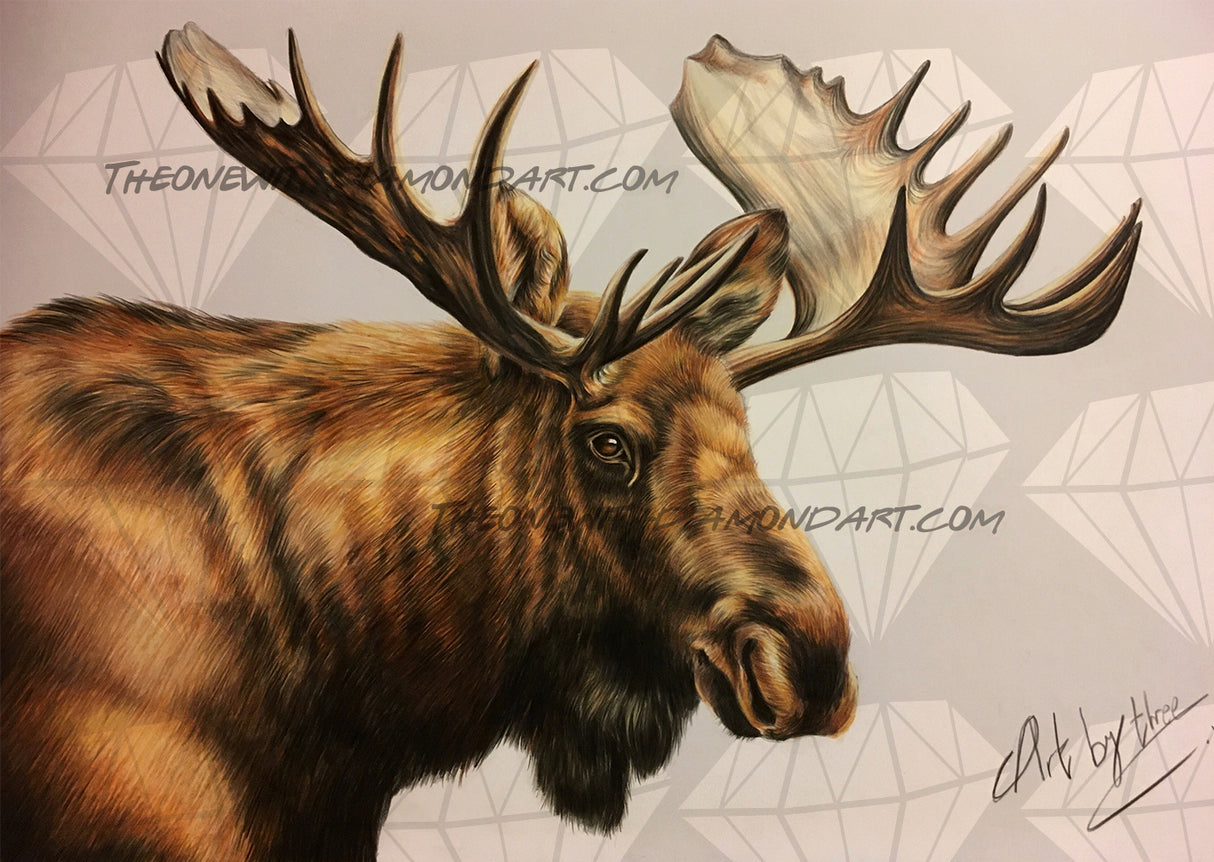 Moose ©ArtByThree