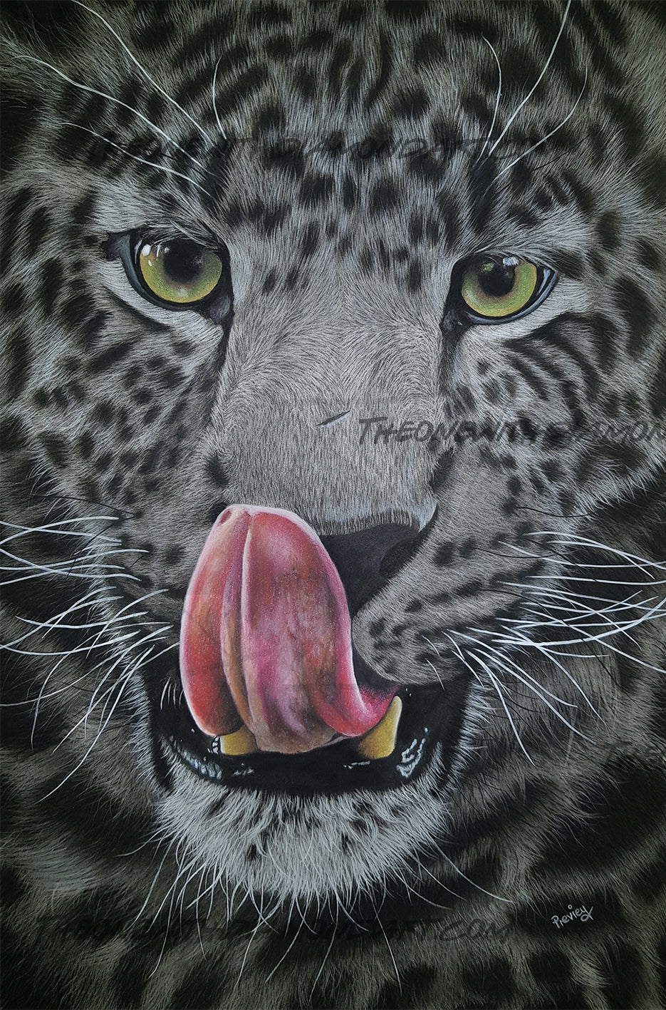 Panthera Pardus ©Previey