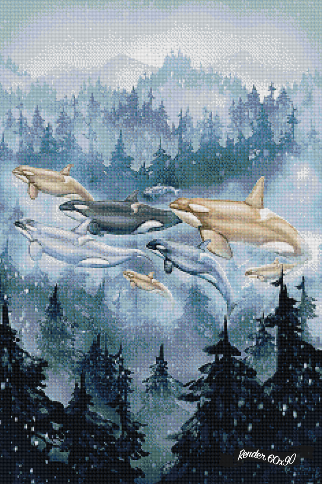 Transcendent Orca - Surfacing ©Chellosia