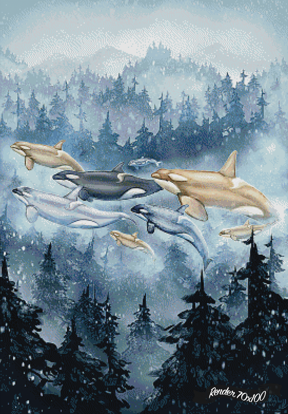 Transcendent Orca - Surfacing ©Chellosia