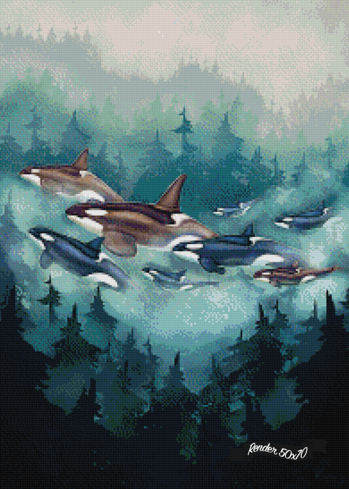 Transcendent Orca - Transient ©Chellosia