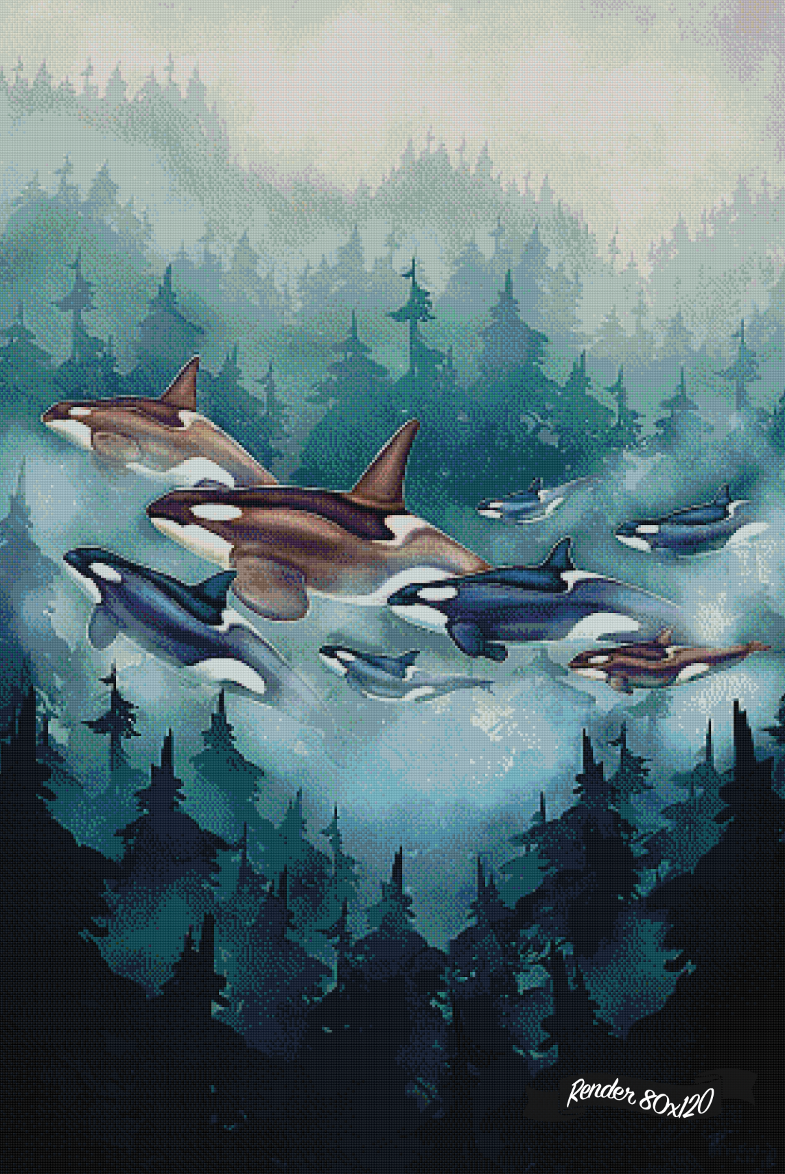 Transcendent Orca - Transient ©Chellosia