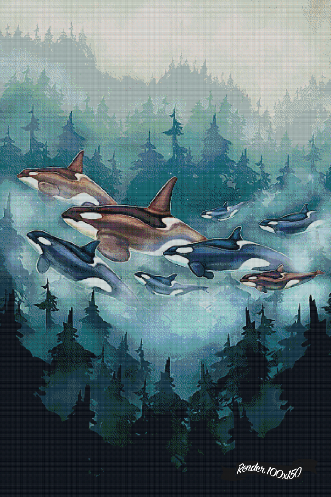 Transcendent Orca - Transient ©Chellosia