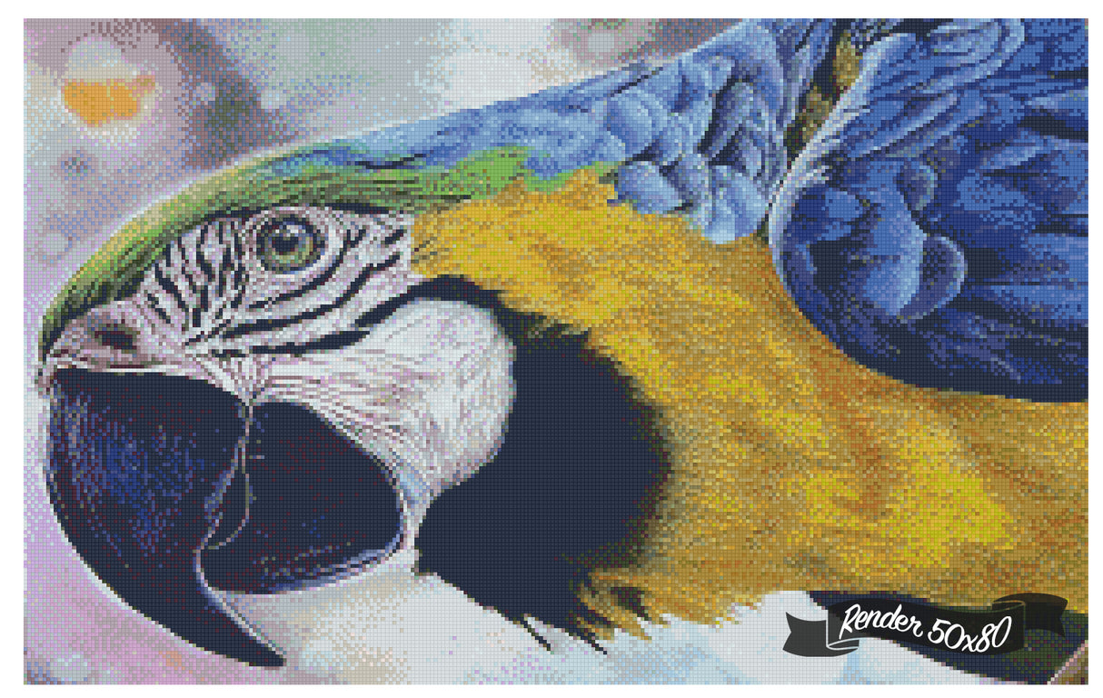 The Parrot ©Previey