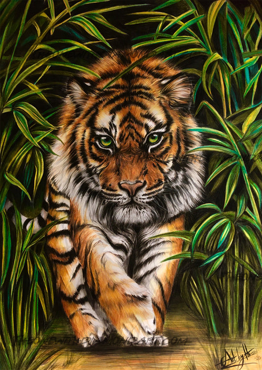 Tiger On The Prowl ©ArtByThree