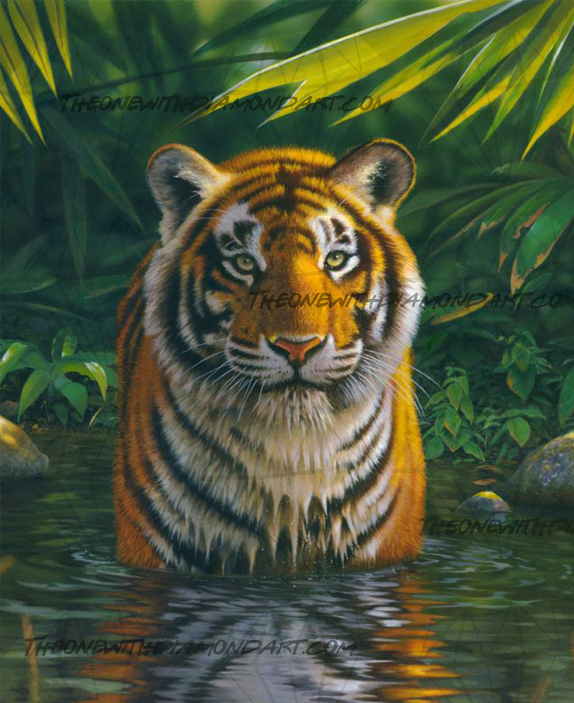 Tiger Pool ©Chris Hiett. Licensed by MGL, www.mglart.com