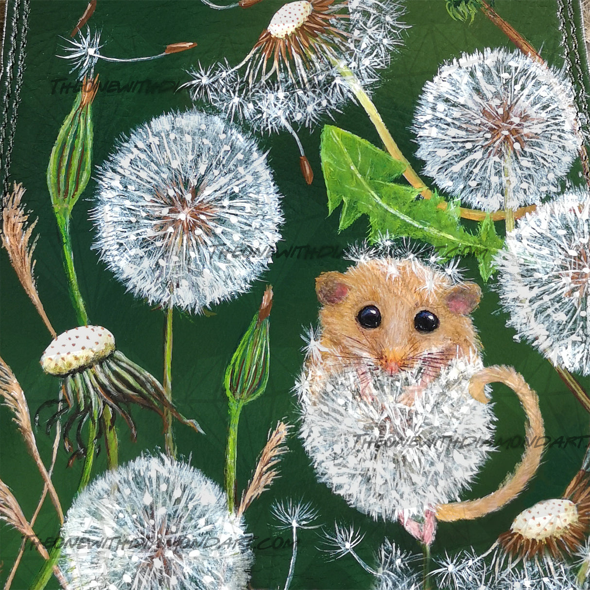 Dandelion Mouse ©River Peacock
