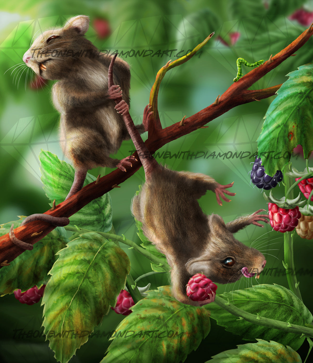 Berry Pickers ©Todd Schweitzer