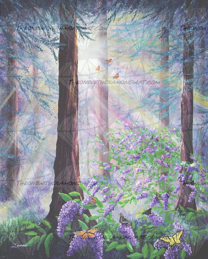 Butterfly Grove In Redwood Forest ©Laura Milnor Iverson