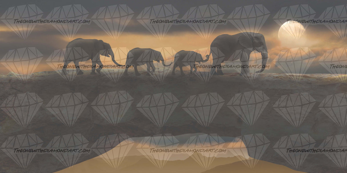 Elephant Family