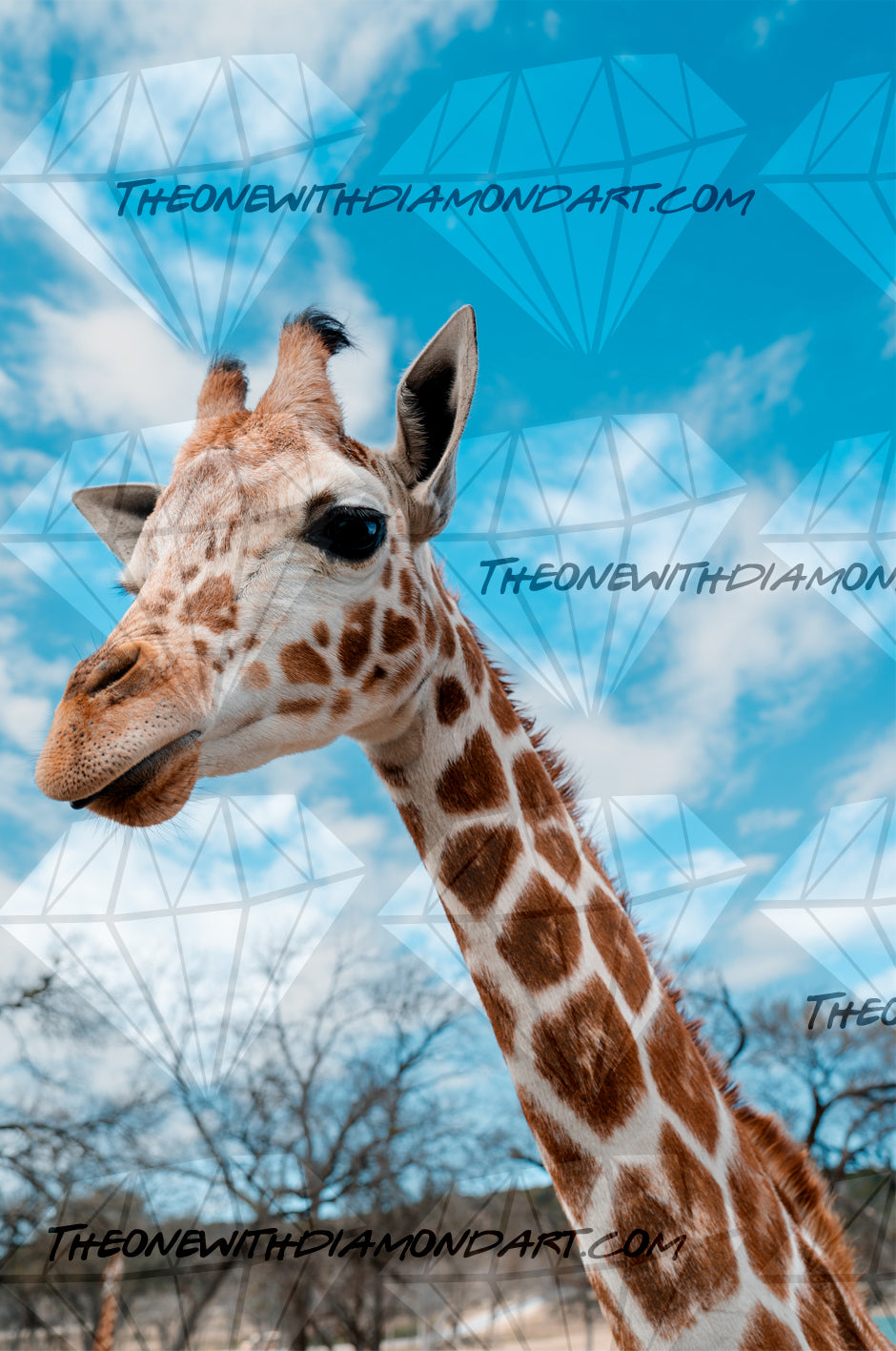 Good Morning Giraffe