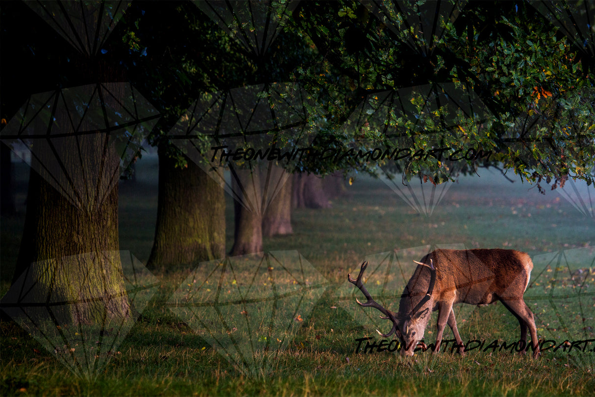 Grazing Deer