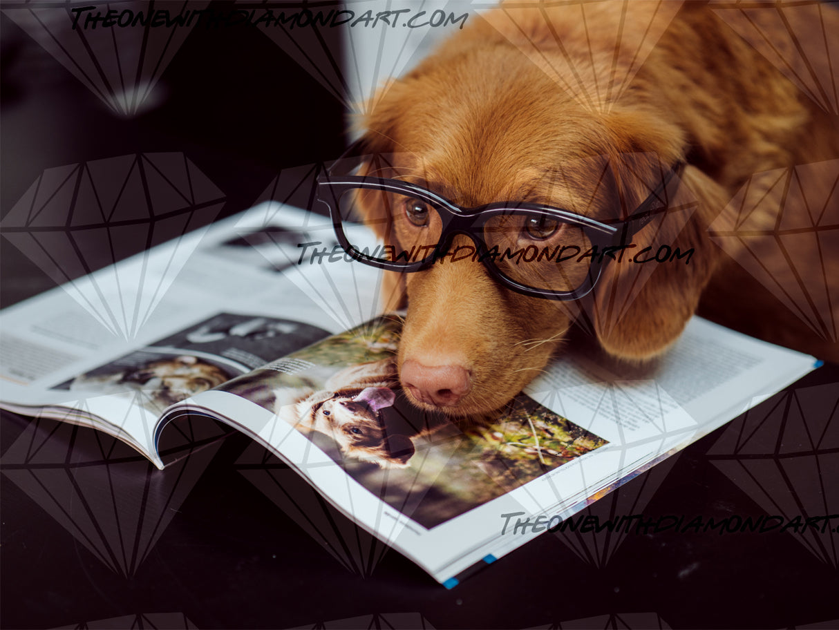 Studious Doggo