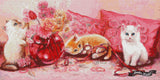 Three Kittens ©Judy Mastrangelo