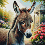 A Donkey's Sanctuary ©Morrigan Austin