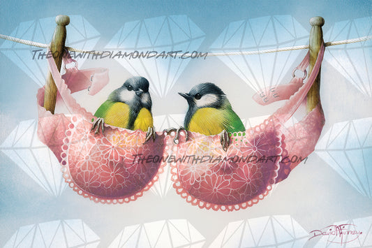 A Pair Of Great Tits ©David Finney