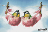 A Pair Of Great Tits ©David Finney