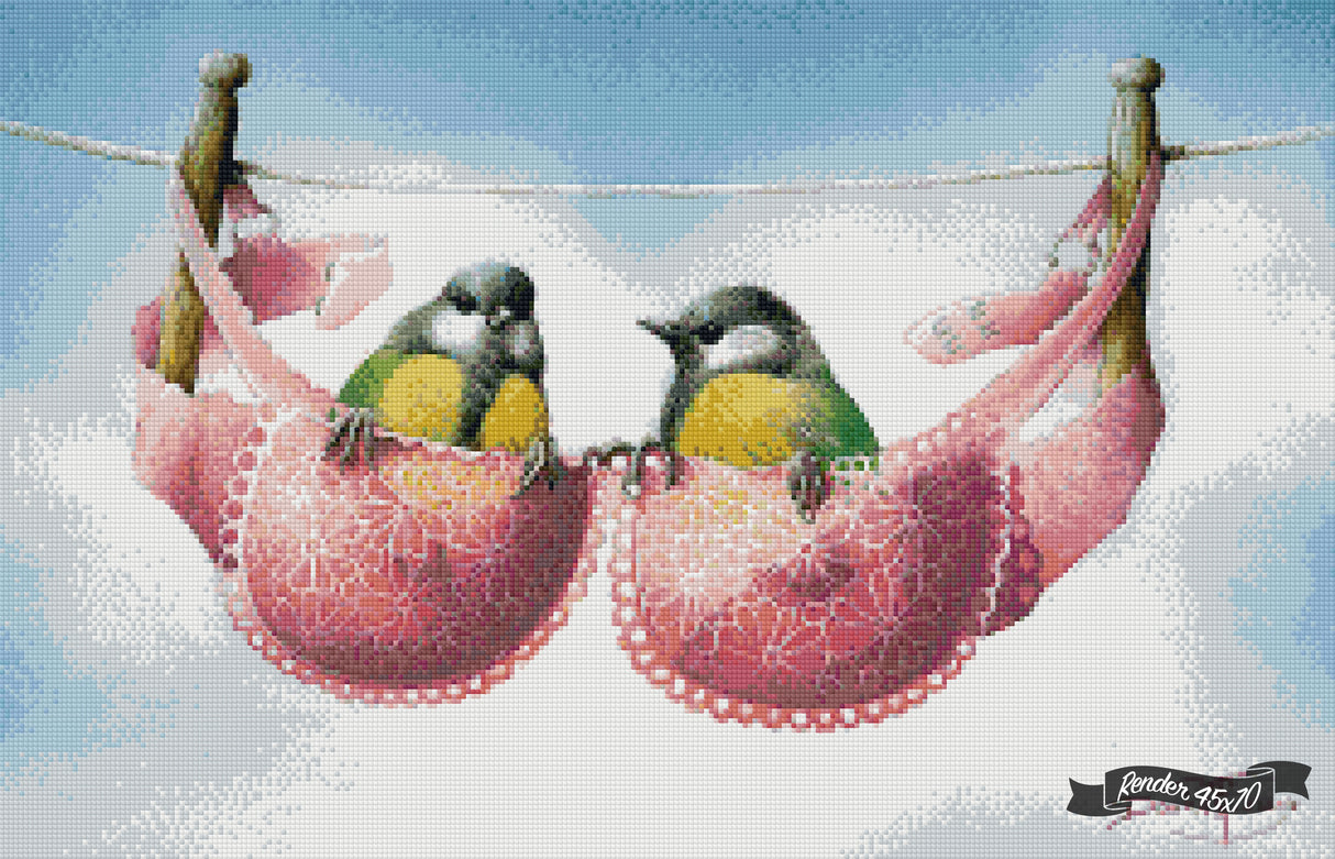 A Pair Of Great Tits ©David Finney