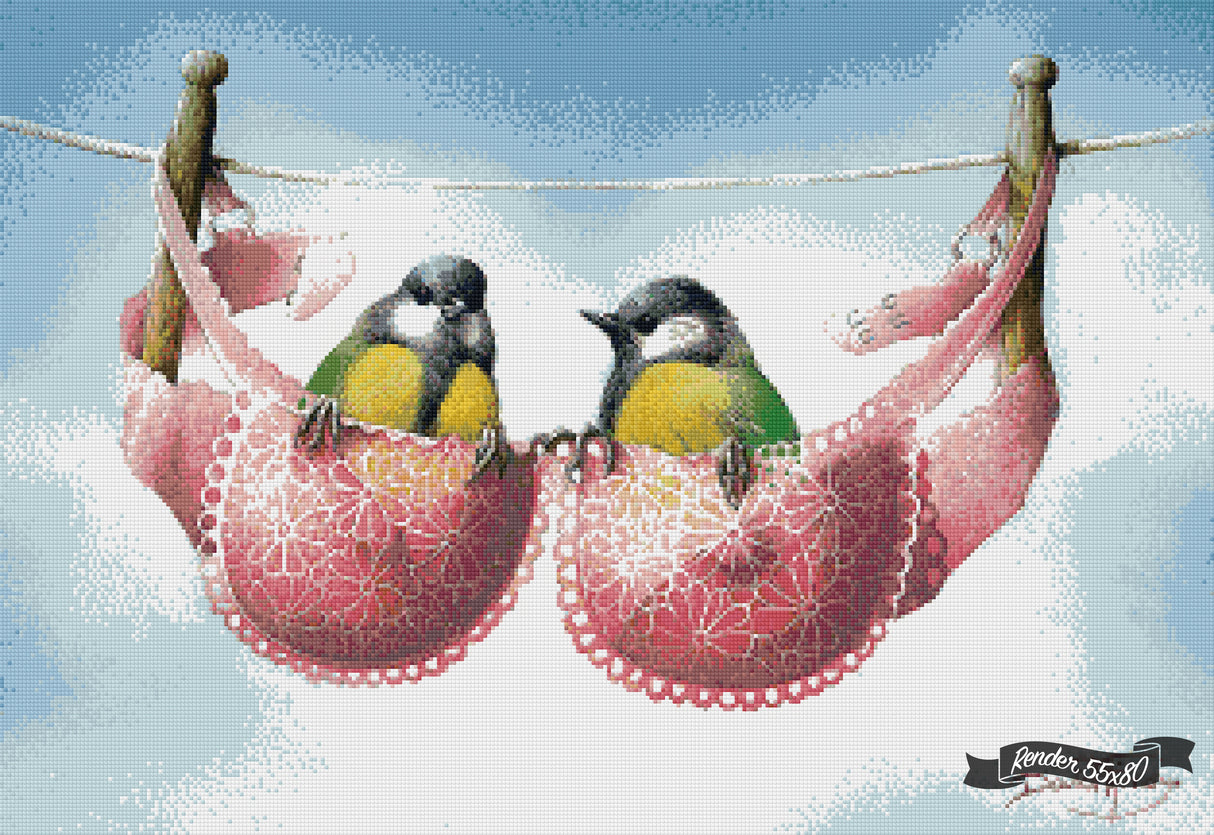 A Pair Of Great Tits ©David Finney