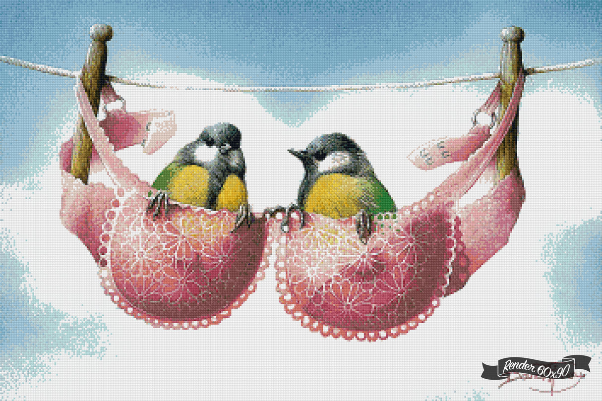 A Pair Of Great Tits ©David Finney
