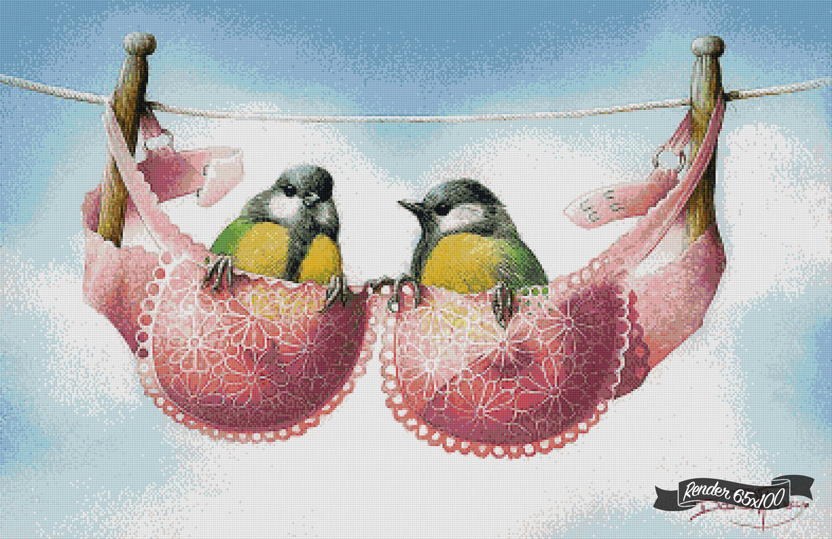 A Pair Of Great Tits ©David Finney