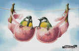 A Pair Of Great Tits ©David Finney