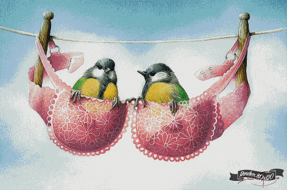 A Pair Of Great Tits ©David Finney