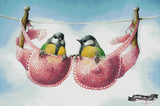 A Pair Of Great Tits ©David Finney