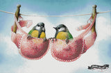 A Pair Of Great Tits ©David Finney