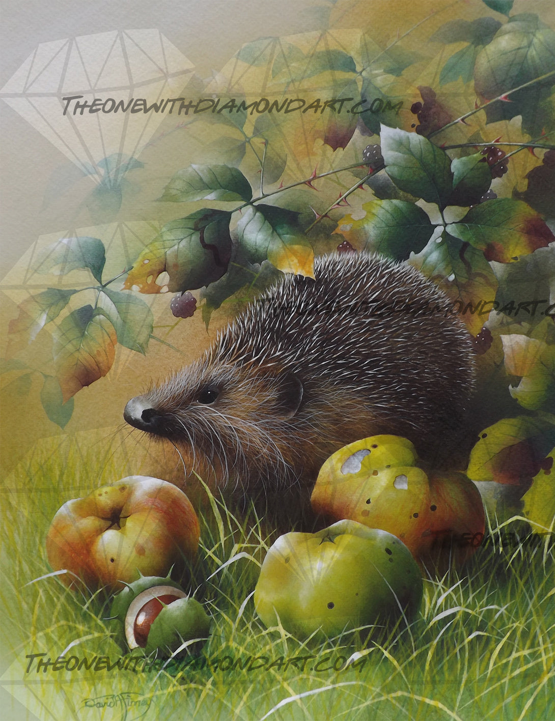 Bramley Hedge-Hog ©David Finney