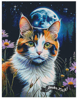 Calico Dreams ©Melody Millward