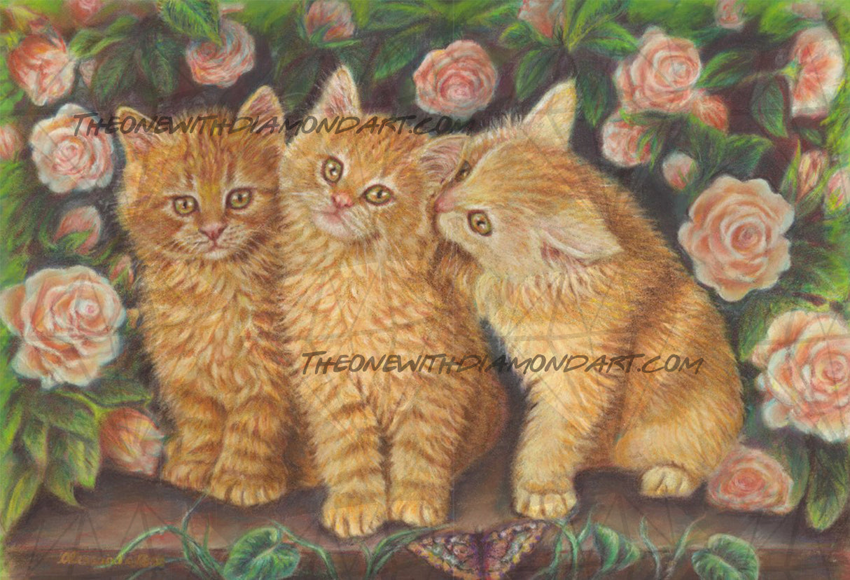 Cats And Roses ©Alessandra Rosi / GratefulLicensing.com