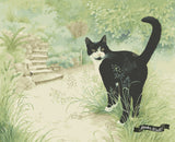 *Paint By Numbers* Chesterton In The Garden ©Ivory Cats