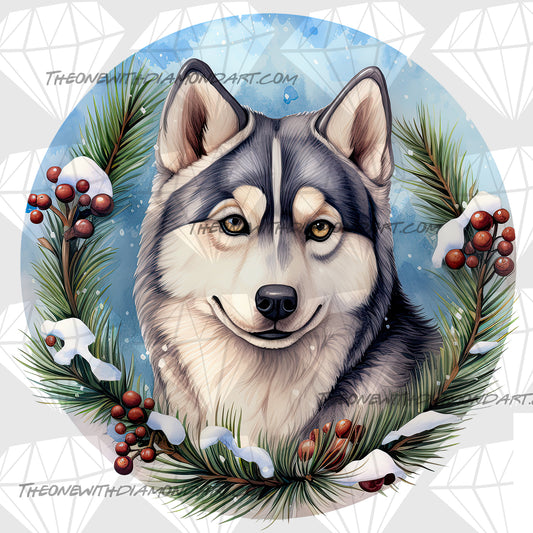 Christmas Husky