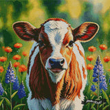 Clover ©Morrigan Austin