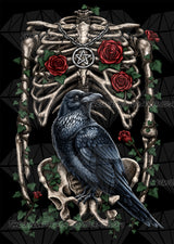 *Hand-Rendered* Corvus ©Sarah Richter