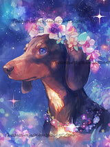 Dachshund Dreamer ©Shala Jarias