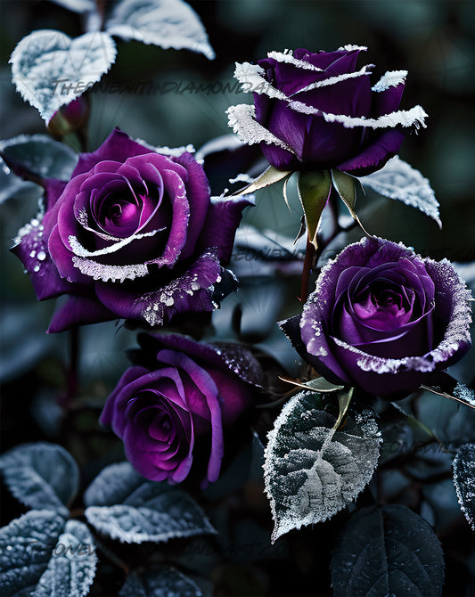 Deep Purple ©Melody Millward