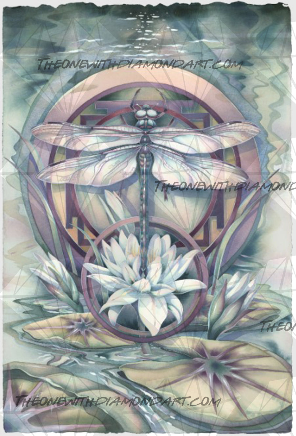 Dragonfly ©Jody Bergsma. Licensed by MGL, www.mglart.com