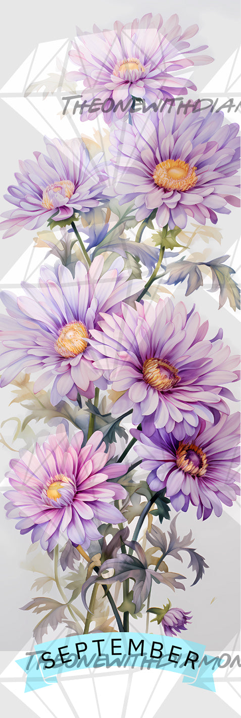 Floral Birthdays - September's Aster