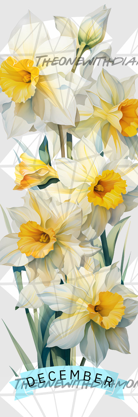 Floral Birthdays - December's Narcissus