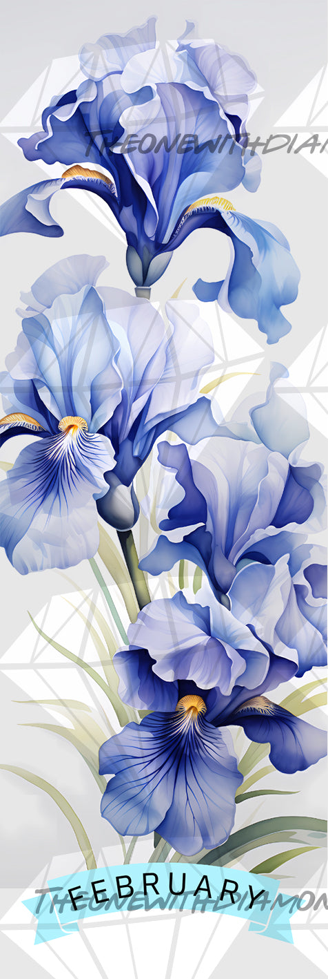 Floral Birthdays - February's Iris