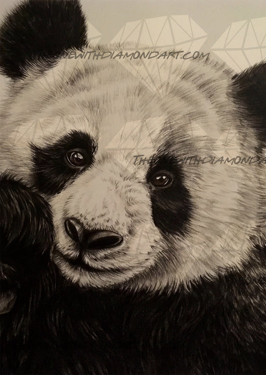 Giant Panda ©ArtByThree