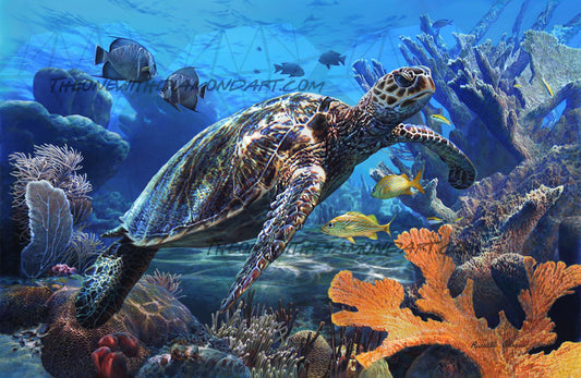 Hawksbill Sea Turtle ©Russell Cobane. Licensed by MGL, www.mglart.com