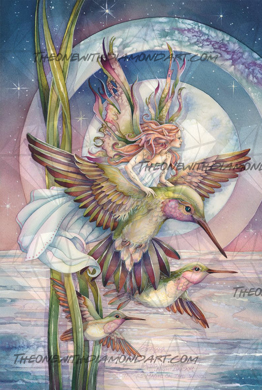 Hummingbird Fairy ©Jody Bergsma. Licensed by MGL, www.mglart.com