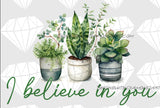 I Believe In You