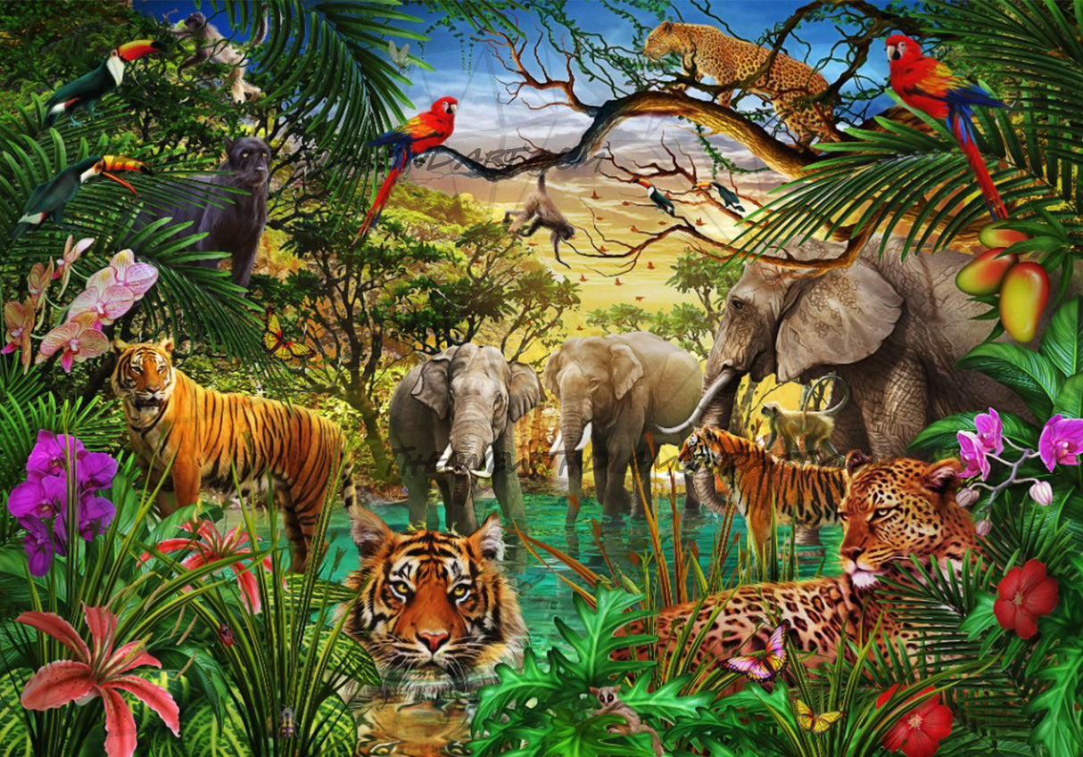 Jungle Wildlife ©Ciro Marchetti. Licensed by MGL, www.mglart.com